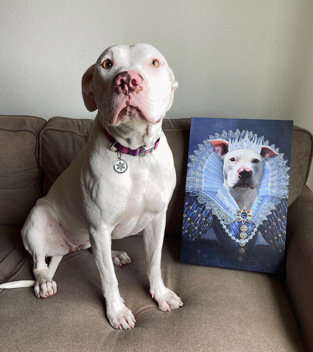 The Princess - Custom Pet Portrait